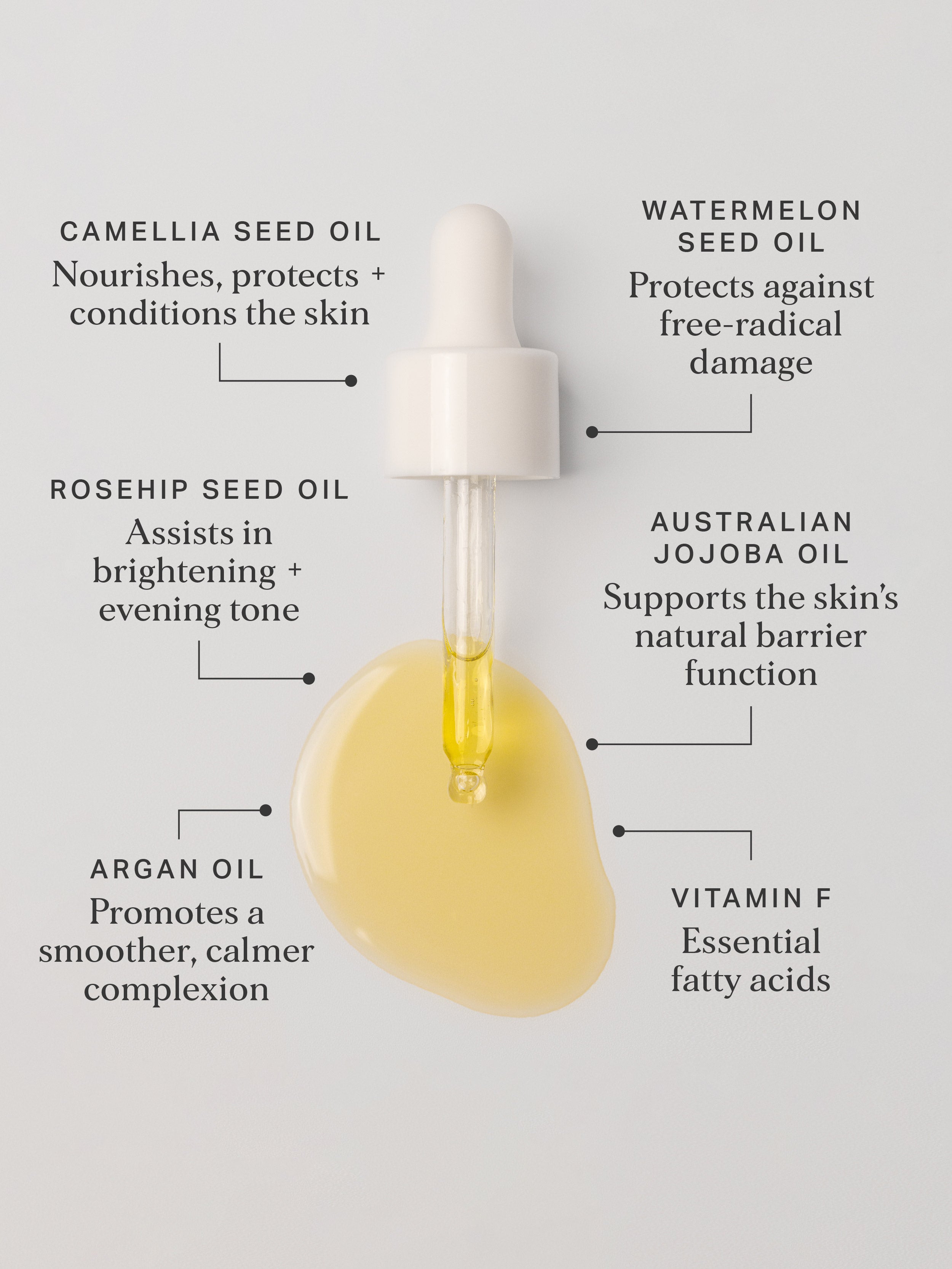 Dry Skin AM & PM Routine